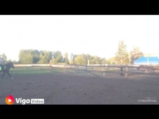 Бусик и лера 😼