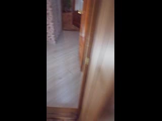 Vid 20210112 091512 mp4