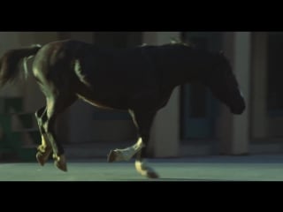 Tanja savic prostakusa