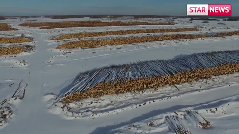 Китайцы незаконно вырубают лес вокруг озера байкал, а полиция рф их защищает от русских жителей!