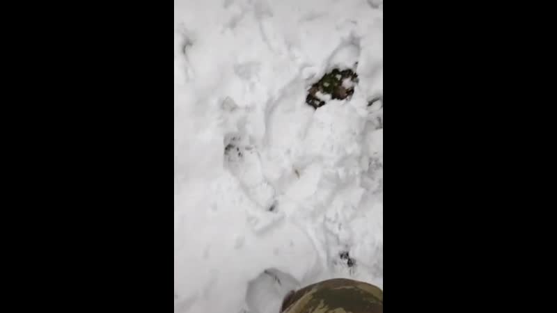 🇦🇿❄️шуша