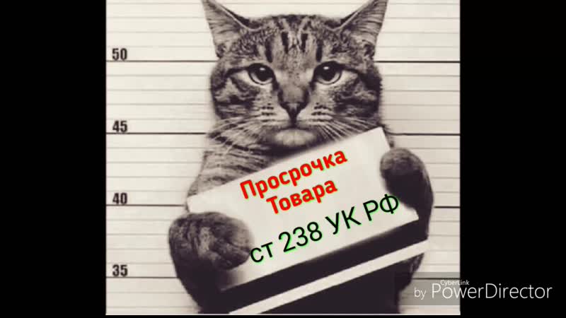 Г нолинск просрочка патруль full hd mp4