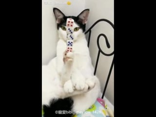 The ol razzle dazzle