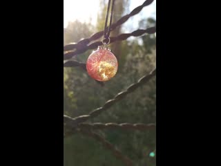 Sl mo vid 20200425 183144 mp4