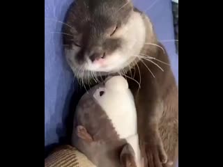 Video is art 20200910 5 mp4