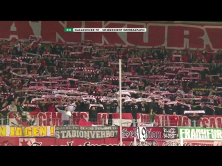 Highlights hallescher fc vs sg sonnenhof grossaspach