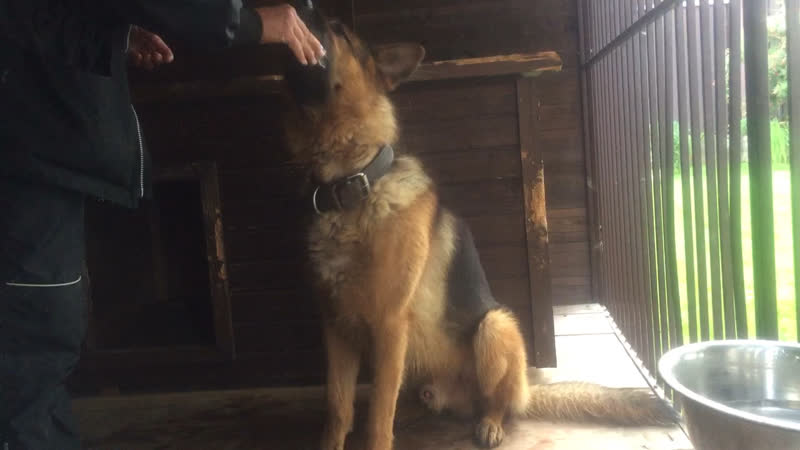 Парнас разминка