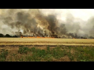 Видео от владимира соболя