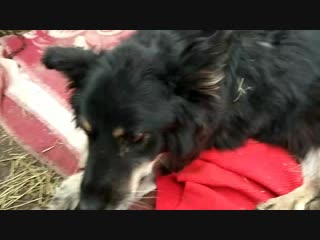 Кери, последнее видео моей сладкой девочки моей белочки