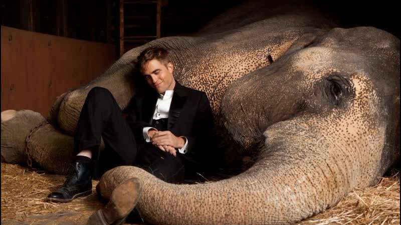 Воды слонам! (2011) hd роберт паттинсон, риз уизерспун, кристоф вальц