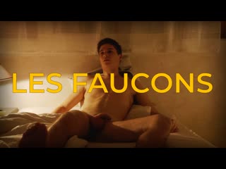 Les faucons