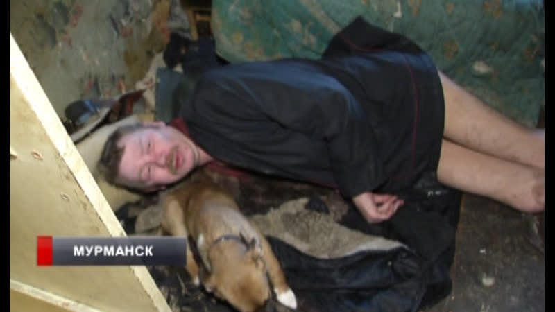 «они ловят молодые, режут и едят» жильцы с ушакова рассказывают о соседке из зловонного притона