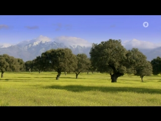 Mit dem frühling durch europa (1)