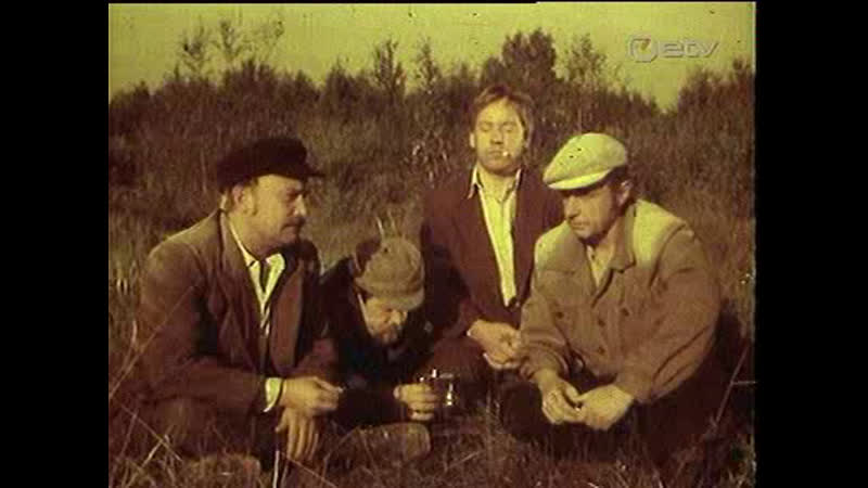 Фильм лесные фиалки (1980)