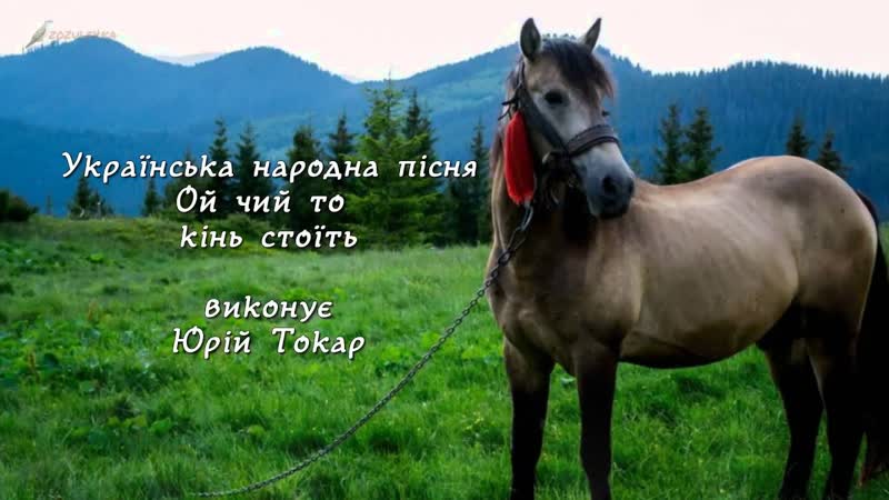 Ой чей то конь стоит украинская народная песня 💥 ой чий то кінь стоїть українська народна пісня