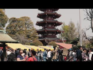 Kanamara festivals japan april 11 2019