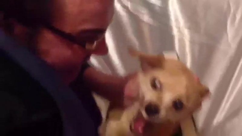 Экзорцизм (изгнание беса из молодые)