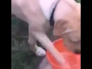 Улица сезам