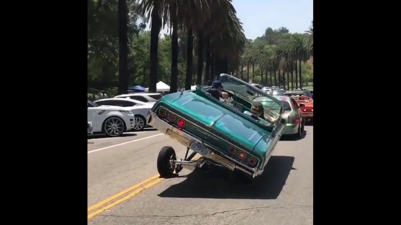 Захватывают своим видом