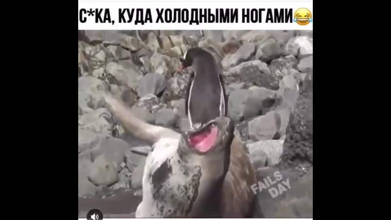 Сука, ледяные ноги!