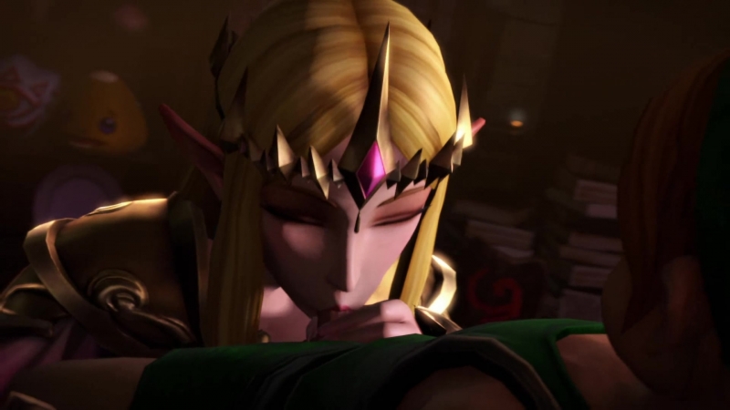 [hyrule warriors] pockyin