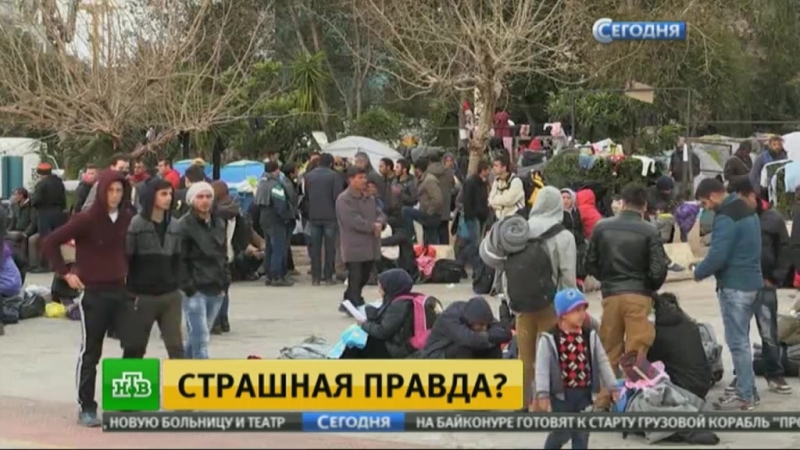 Ес потребовал объяснений от анкары после публикаций о расстреле беженцев