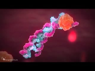 3d medical animation virus infection virusinfektion designidentity 3d medical animation virus infection virusinfektion