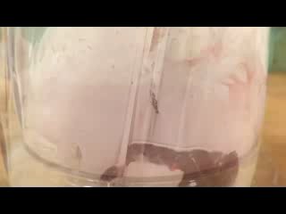Молочный porn video – Молочный коктейль