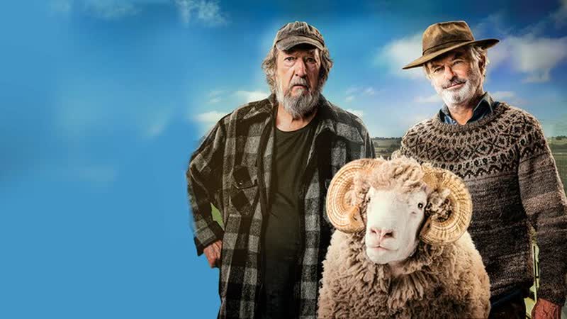 Бараны, драма, комедия, австралия