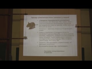Теория эволюции марков а в лекция 8 часть 2
