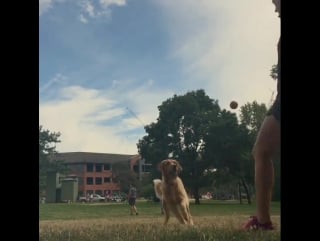 When your arm gets sore from throwing the ball improvise!!! 😂😂