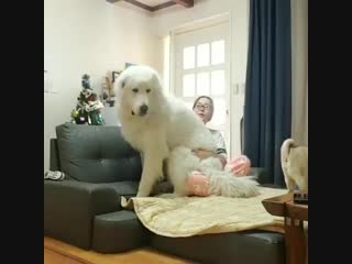 Vivi in sehuns next ig live