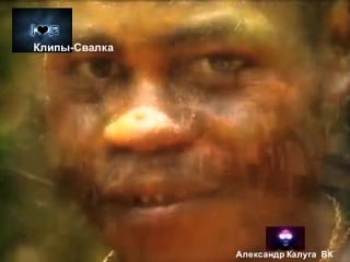 Deep forest forest hymn