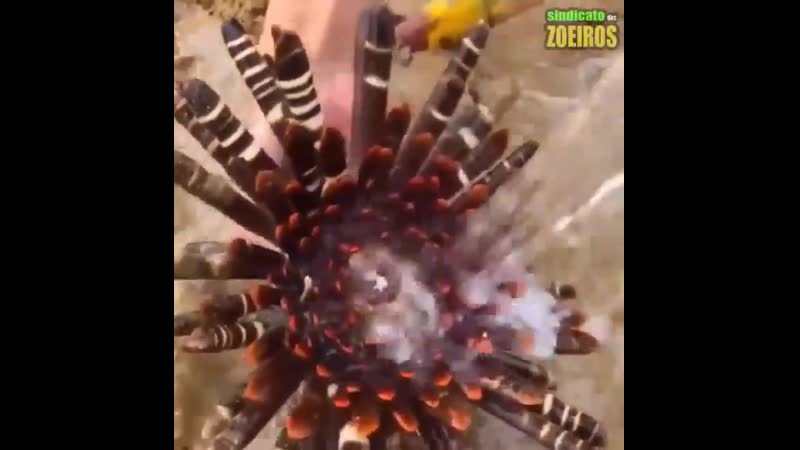 Оставьте в покое странных молодые на пляже они тоже имеют право спокойно посп