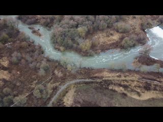 Victor a lee vs янка дягилева полкоролевства