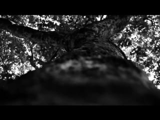 2 yelena yemchuk fashion story it all about shape