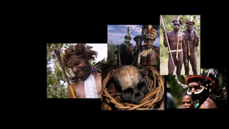 Самые жестокие каннибалы папуа новой гвинеи