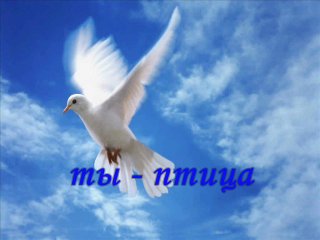 Доброе утро картинки с голубями