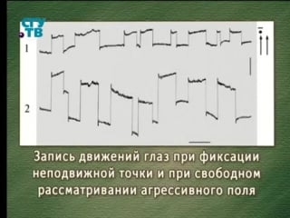 Видеоэкология урок 3 факторы, влияющие на автоматию саккад