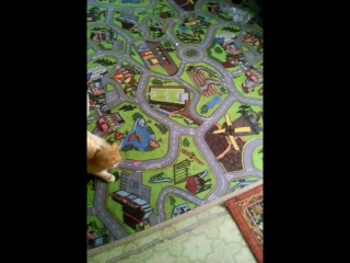 Купили мусе новую игрушку и понеслось