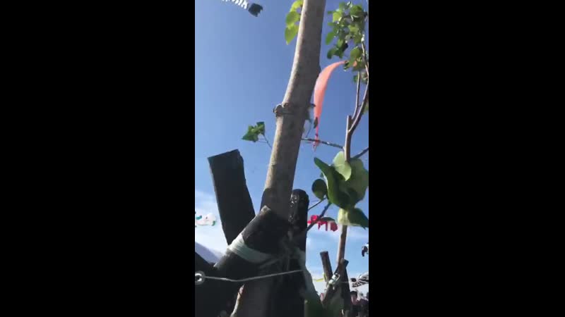 Воздушный змей унёс трёхлетнюю девочку в небо