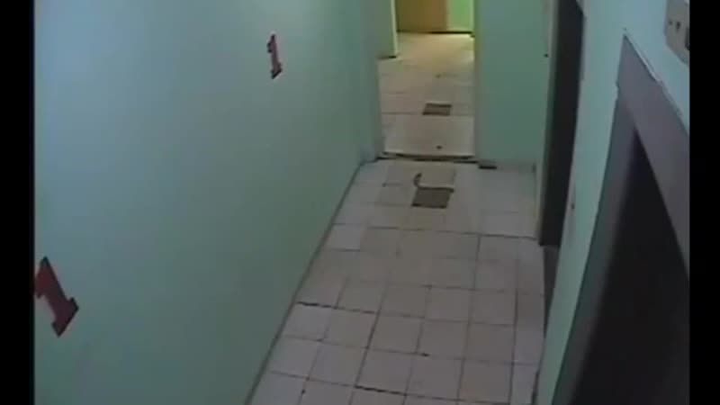 Девочка убежала от подозрительного мужчины под москвой