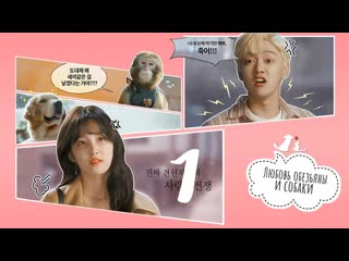 [mania] 01/10 [720] любовь обезьяны и собаки / monkey and dog romanc