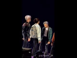 Baby koala pokes baby bunny pokes back