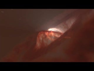 Artistic animation of the warped and torned apart disc of gw orionis