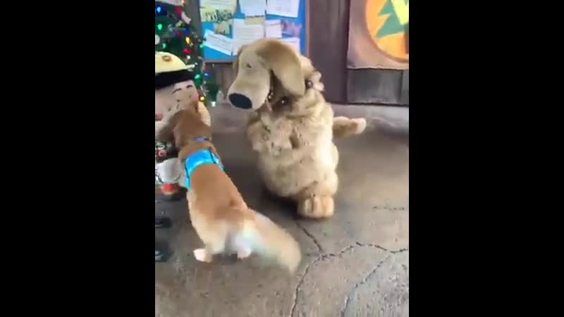 О, дружище! нашел себе пару 😉