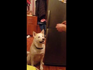 20190223 131202 edited mp4