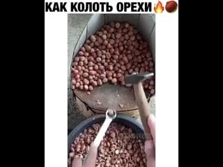 Lifexak video 20200811 1 mp4