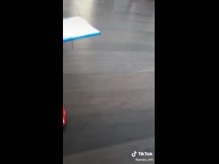 Девочки и тик ток дебил чтоли