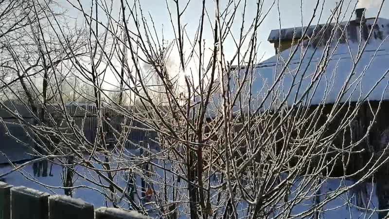 Русская деревня в морозы \ забрал молодые